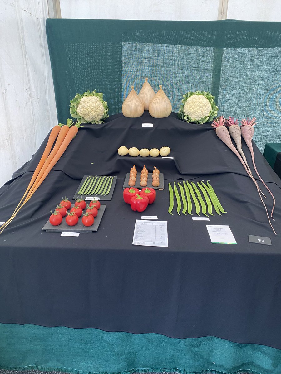 Medwyn Williams tweet media