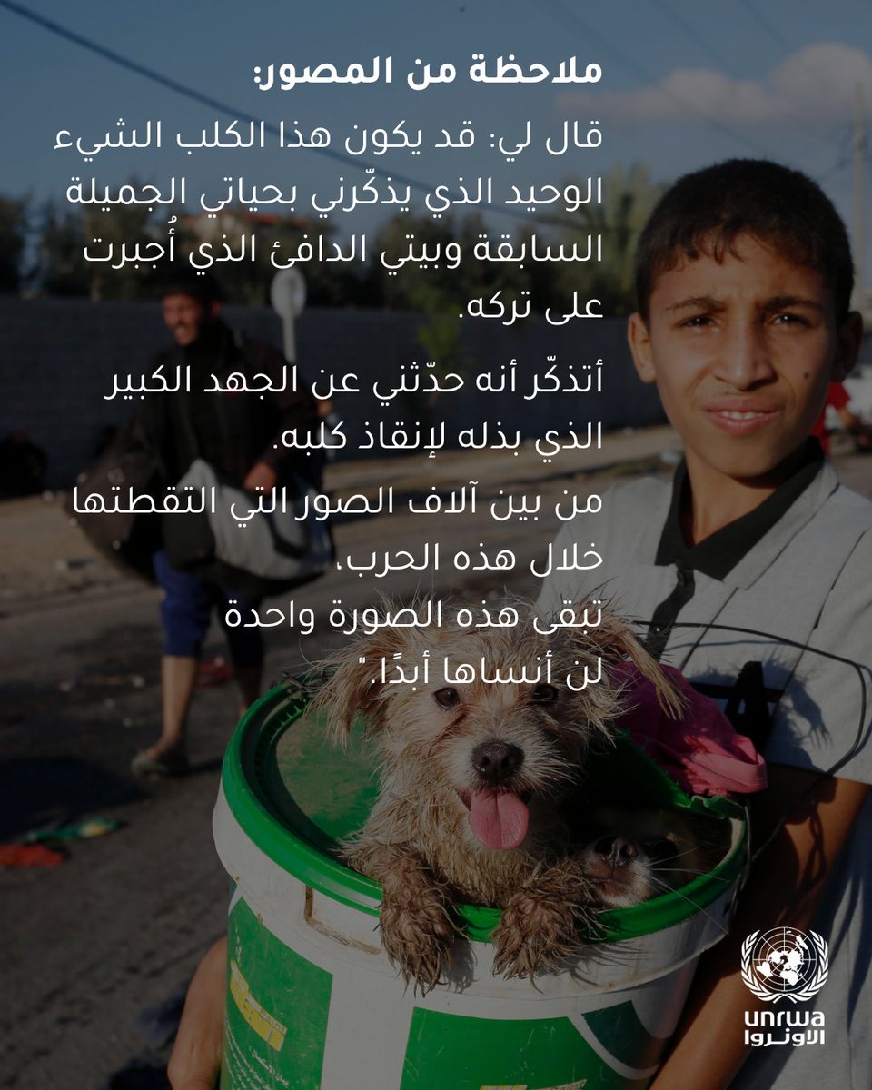 📷 صور من معرض "شهادة حيّة: غزة بعيونهم"

🖼 تشرين الثاني/نوفمبر 2023: فتى يحمل كلبه بينما يشقّ طريقه من شمال غزة إلى جنوبها.

📝 ملاحظات المصور: "أخبرني هذا الفتى الطيب أنه لم يستطع أن يترك كلبه خلفه. قال لي: قد يكون هذا الكلب الشيء الوحيد الذي يذكّرني بحياتي الجميلة السابقة