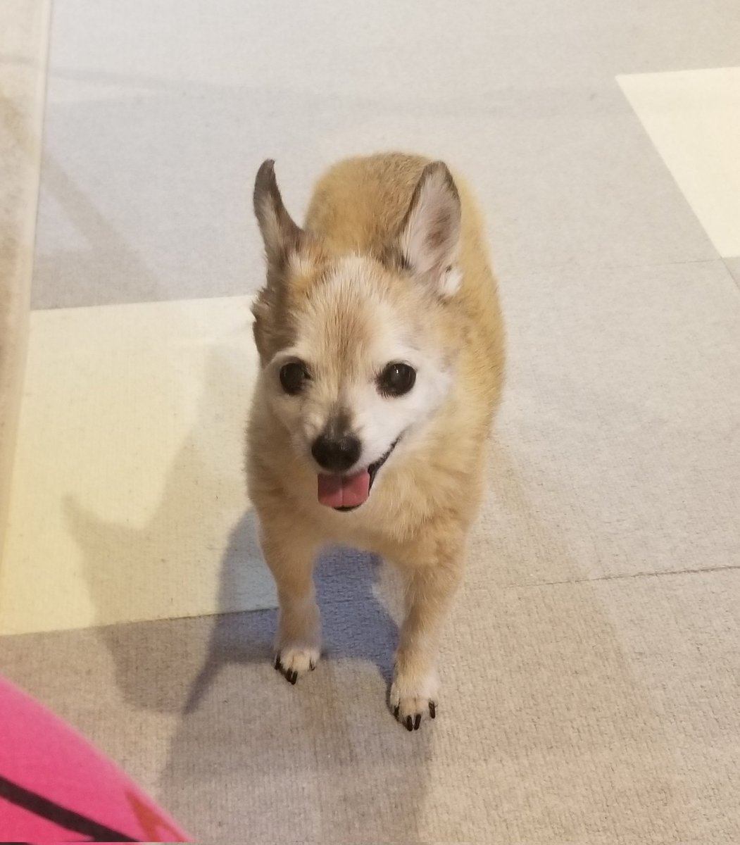 写真でも可愛い
会いたいな