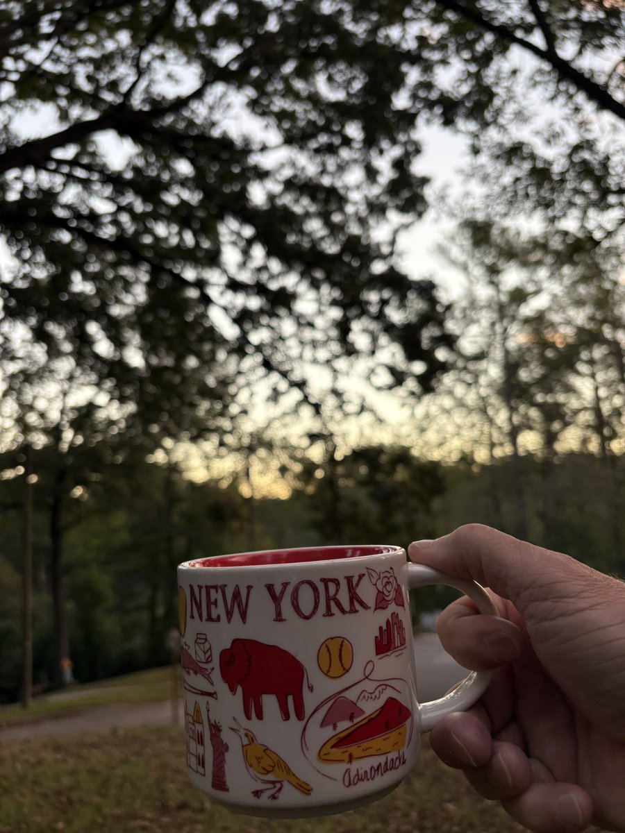 Bama26Point2's tweet image. 6:35am * 58°F (14.4°C) * amazing Friday morning in Bamaland with the windows open * more leaves on the ground signaling Fall is beginning to arrive * Yankees won so the NY Cup it is! #javajunkie