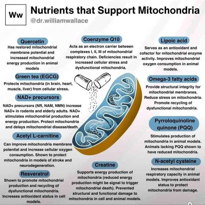 darrolb's tweet image. 