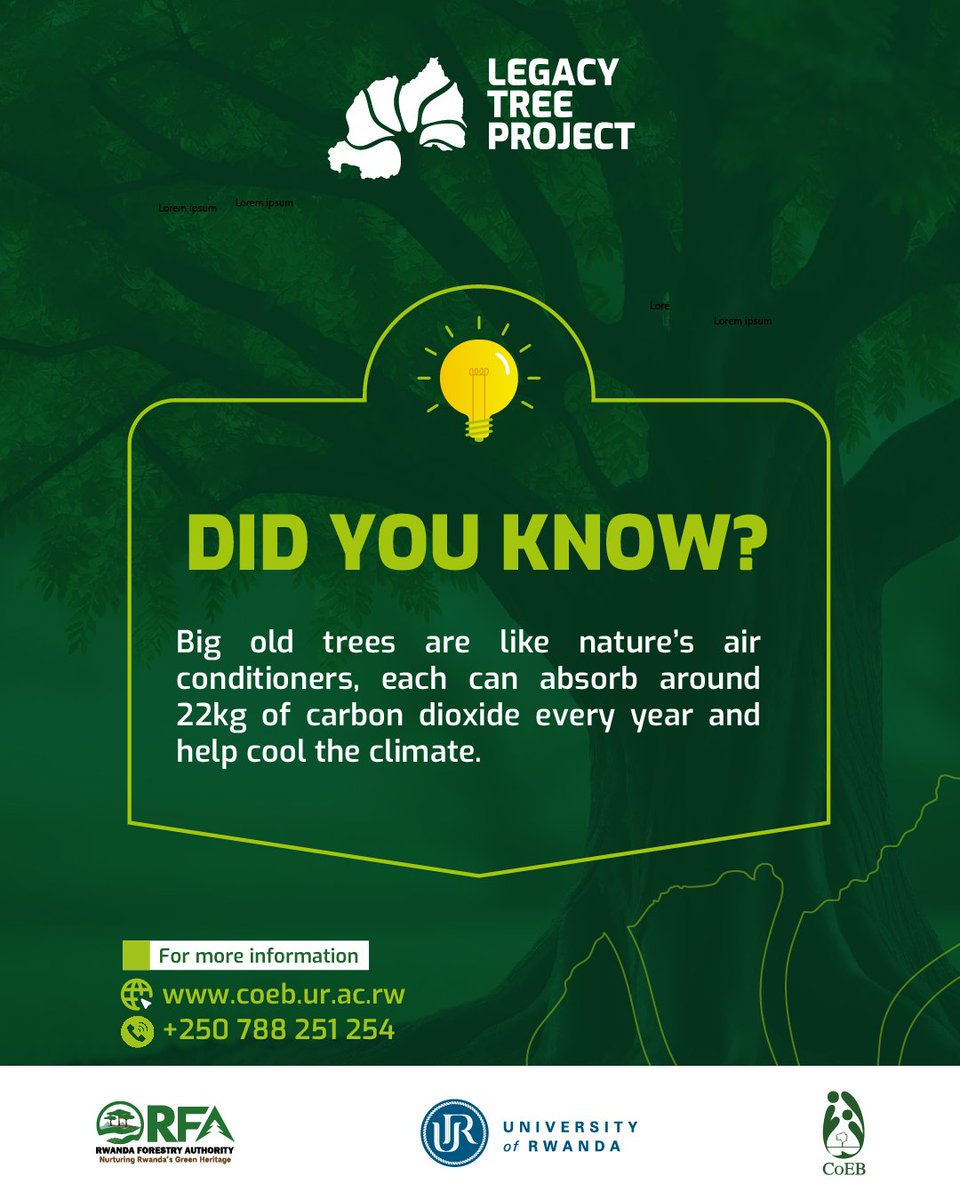 LegacyTreeRw's tweet image. 🌳 Be part of the Story – Celebrate Legacy Trees
📍 Do you know of a legacy tree in your area?
Help us protect and celebrate them by submitting details via this form: docs.google.com/forms/d/e/1FAI…