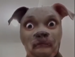 Ta Woof, ta Woof... Ta Woof is on Fire!!!