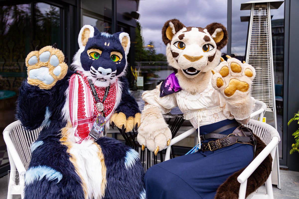 The friendliest cat café
#FursuitFriday 
🐯 <a href="/UnaPanthera/">Una | 🔜 Core Element</a> 
📸 <a href="/Mikepaws/">MikePaws 🏳️‍🌈🐾📸</a>