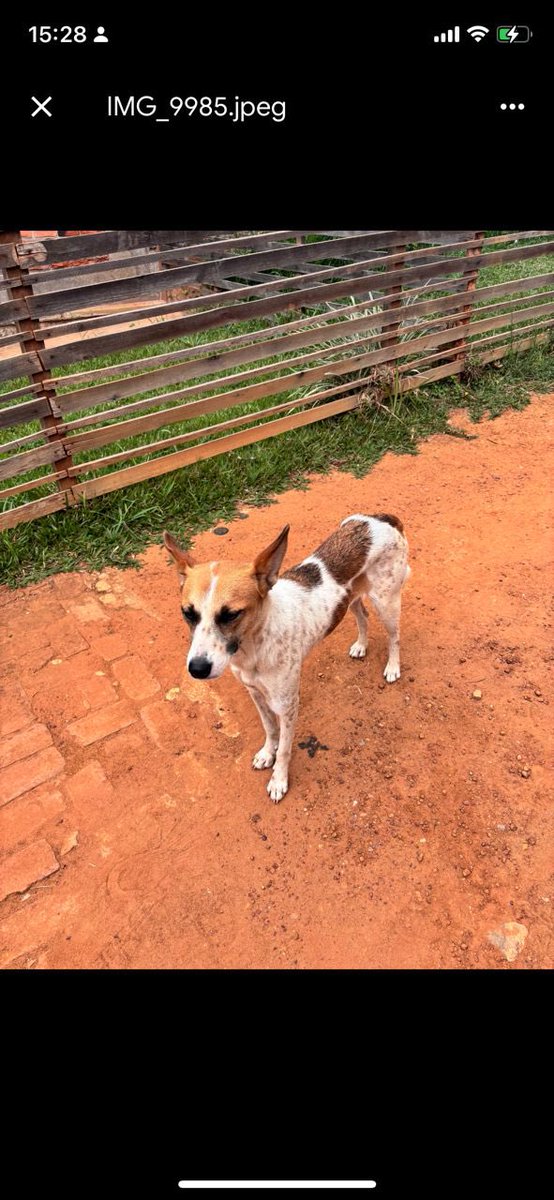 WAG Rwanda tweet media