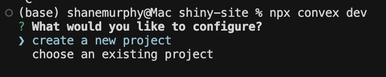 shinyobjectz_'s tweet image. Here I am, a simple man, starting another webapp with @convex_dev