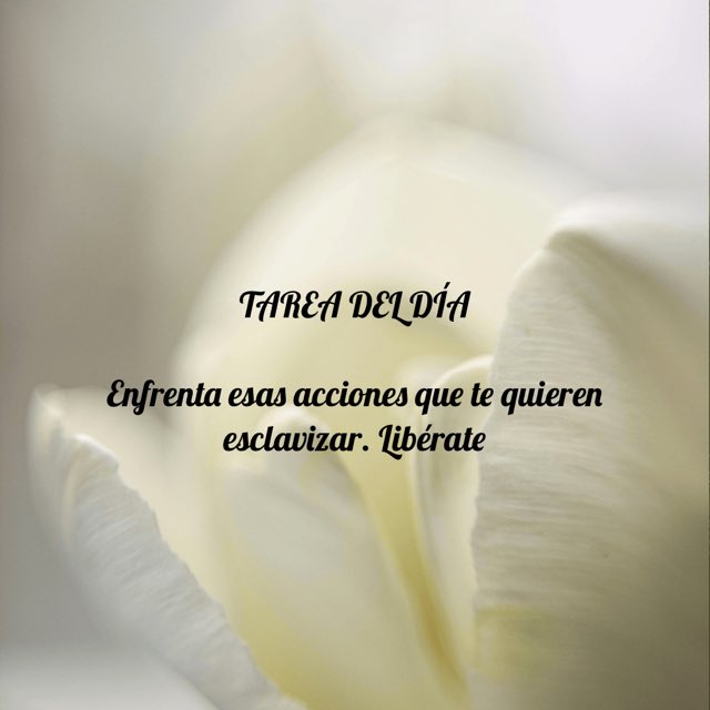walirproductio2 tweet picture