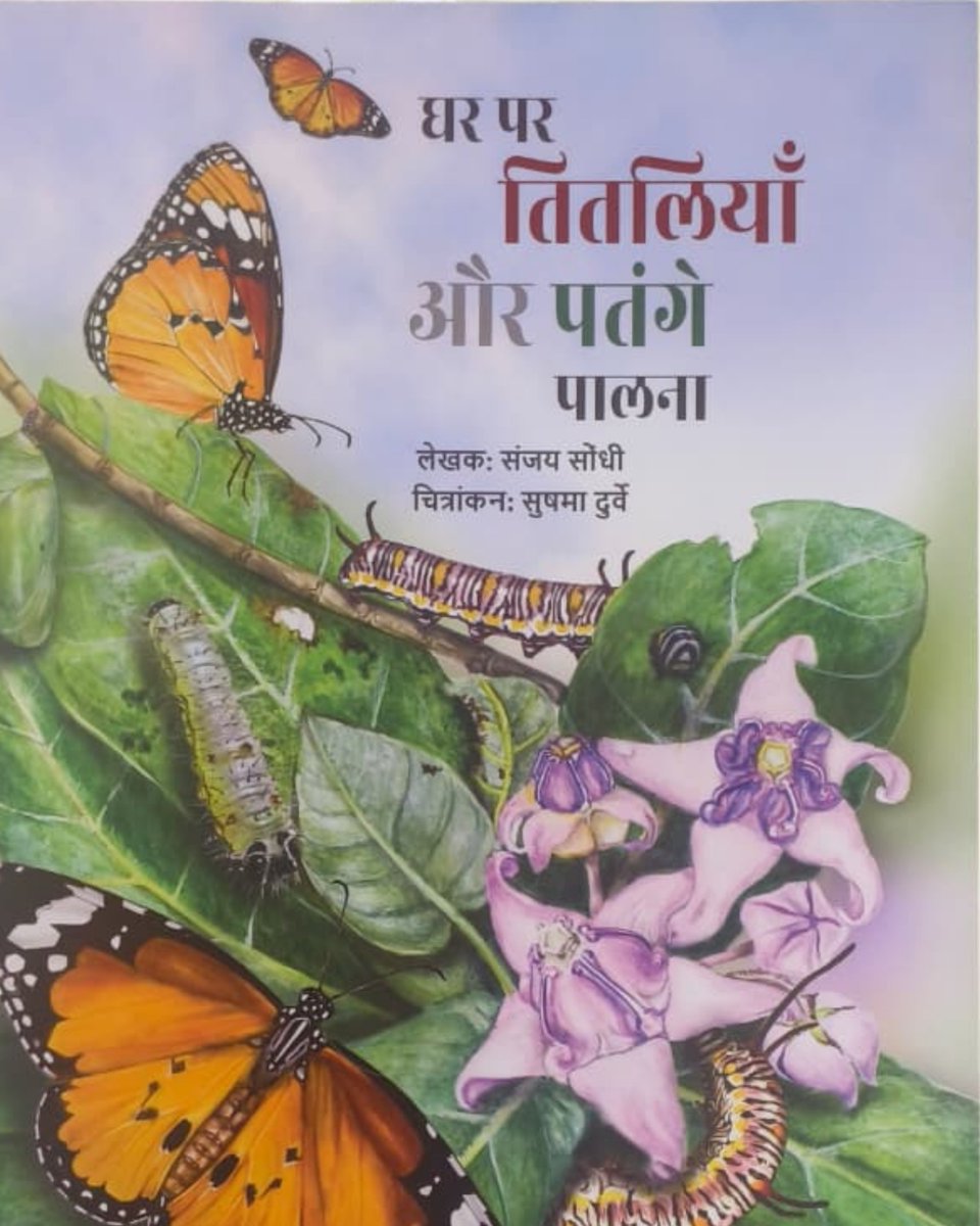 Uttarakhand Forest Department tweet media