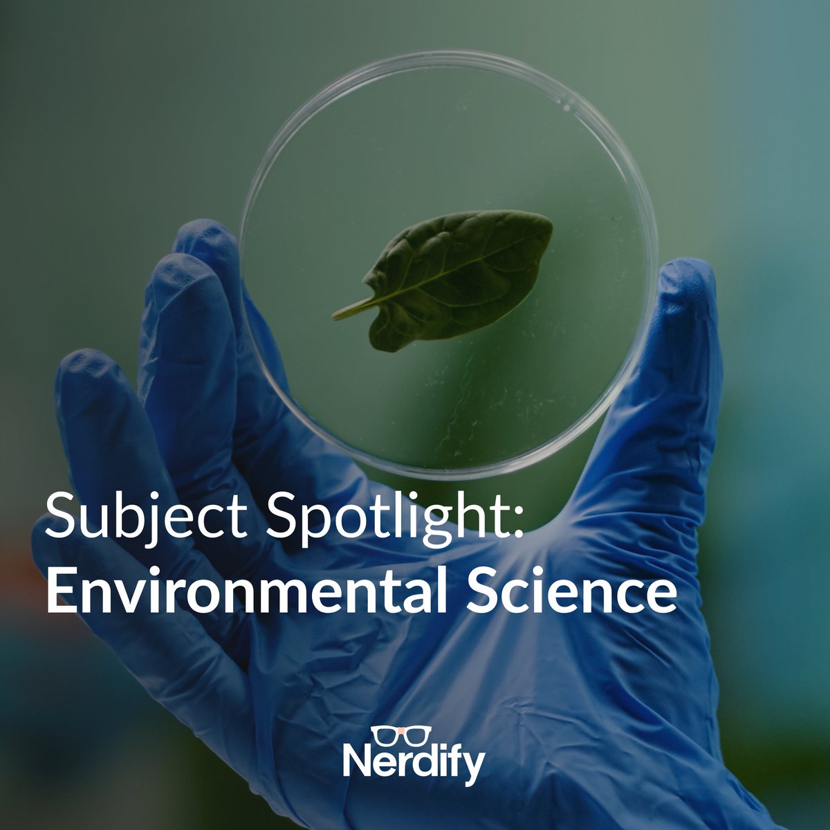 GoNerdify's tweet image. ✅ We assist with:
• Understanding ecological systems and biodiversity
• Clarifying climate science and sustainability concepts
• Exploring renewable energy and conservation practices
• Analyzing environmental case studies and data

#nerdify #gonerdify #environmentalscience