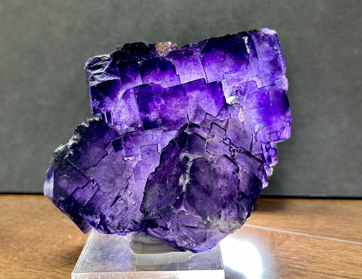 今日の戦利品⑤
メキシコ産のデカいフローライト
照らすと紫が格好良すぎる！！

#新宿ショー 
#東京国際ミネラルフェア