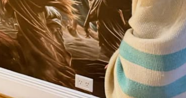 Enrique Bordes tweet media