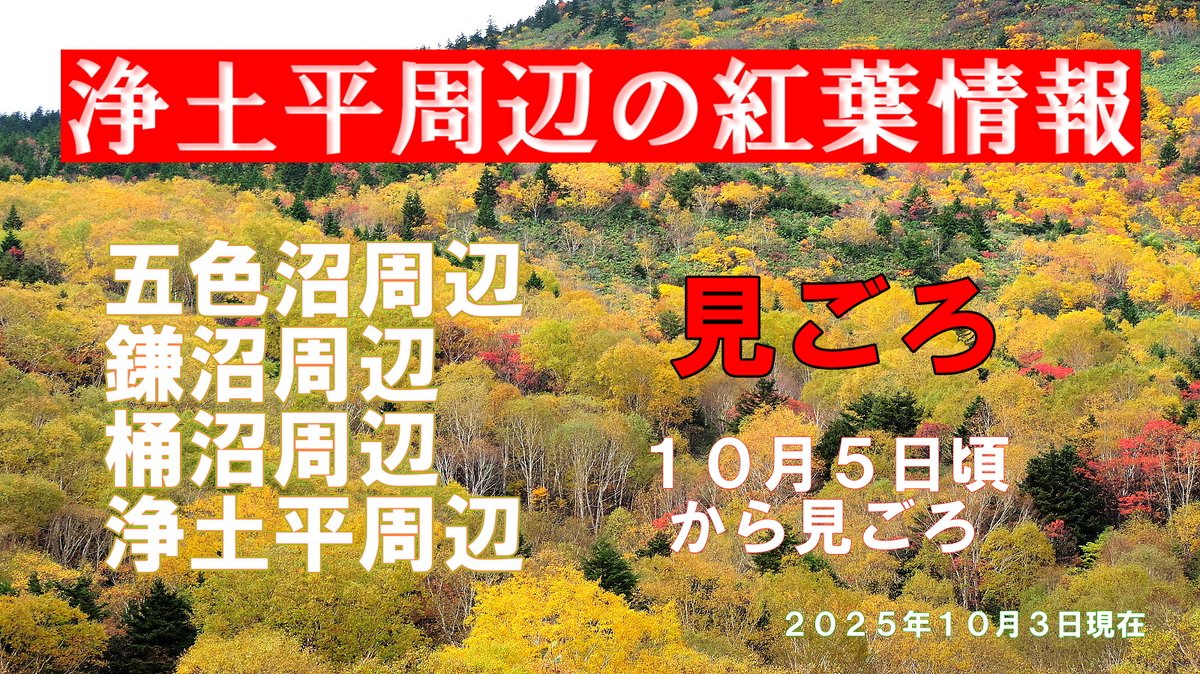 【紅葉情報】五色沼・鎌沼周辺（水面標高約1770m）は現在、見ごろで約１週間程度は続きそう。桶沼・浄土平周辺はまもなく見ごろとなり中旬まで見られそうです。

浄土平周辺では多客時に通信状況が悪くなります。地図のダウンロード等は事前に通信状況の良い場所でしておきましょう。