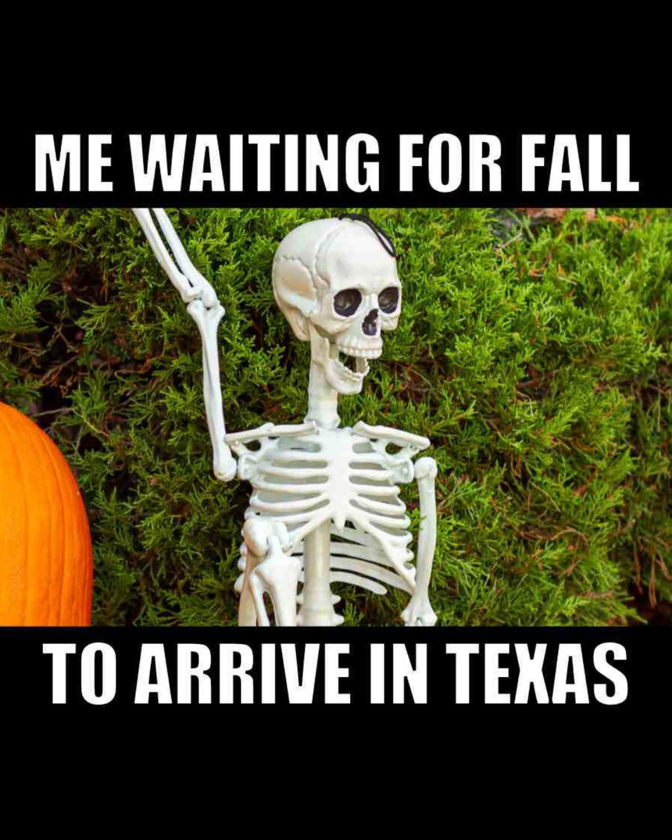 713CallLee's tweet photo. Texas seasons:
☀️ Summer
☀️ Summer 2.0
🍂 …and finally Fall (maybe, in December)

#TexasLife #FallInTexas #HoustonHumor #713CallLee https://t.co/NrPvDSPpsD