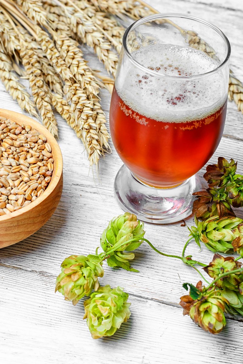 NETZRO_US's tweet image. It&apos;s Octoberfest time when you visit a brewery or distillery this weekend ask if they upcycled their spent grain to feed people. We can have our beer and eat it to while reducing greenhouse gas emissions.