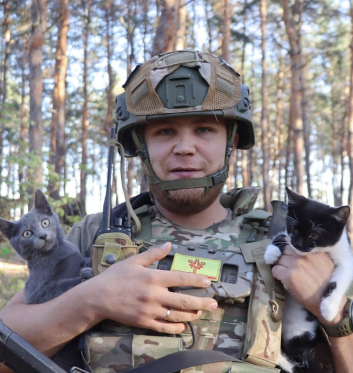 Ангулемский tweet media