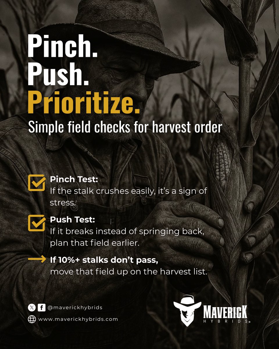 Simple checks, big payoff. 🚜

 ✔️ Pinch Test: If the stalk crushes easily, it’s a sign of stress.
 ✔️ Push Test: If it breaks instead of springing back, plan that field earlier.
 👉 If 10% or more stalks don’t pass, it’s just smart to move that field up on the harvest list. 

No