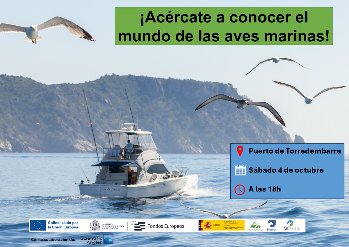 SEO_BirdLife's tweet image. Para celebrar el #diadelasaves, os invitamos también a explorar el mundo de las aves marinas.

De la mano del coordinador del programa marino de SEO/BirdLife nos adentraremos en su biología, conservación y amenazas. ¡Os esperamos!

#MARAVES #ProgramaPleamar #FEMPA @FBiodiversidad