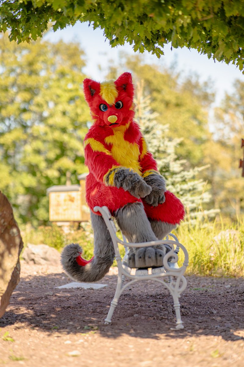 Für die heutige FeiertagFreitag-Spezialausgabe des #FursuitFreitag lassen wir es ganz entspannt angehen. Was wollt ihr mit dem Wochenende anstellen? 👀

🐶 <a href="/red_husky_blaze/">Husky Blaze</a> 
📷 <a href="/fur_nerox/">Nerox</a> 
🌍 EAST 13