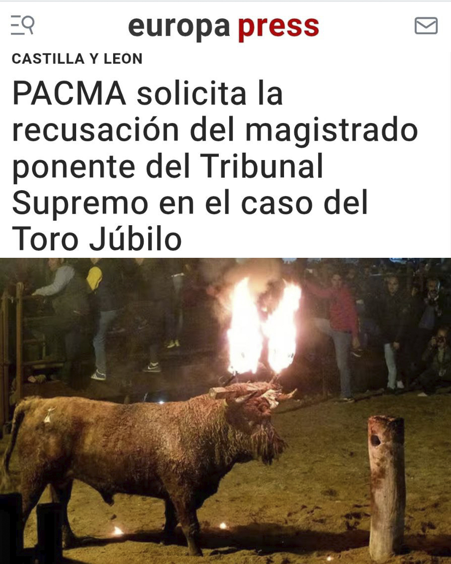 ⚖️Un juez taurino no puede ser imparcial en un caso sobre el Toro Júbilo.

🐂Desde PACMA hemos pedido la recusación del magistrado del Tribunal Supremo que debe resolver este proceso, tras sus declaraciones públicas a favor de la tauromaquia y contra el animalismo.

❌La justicia