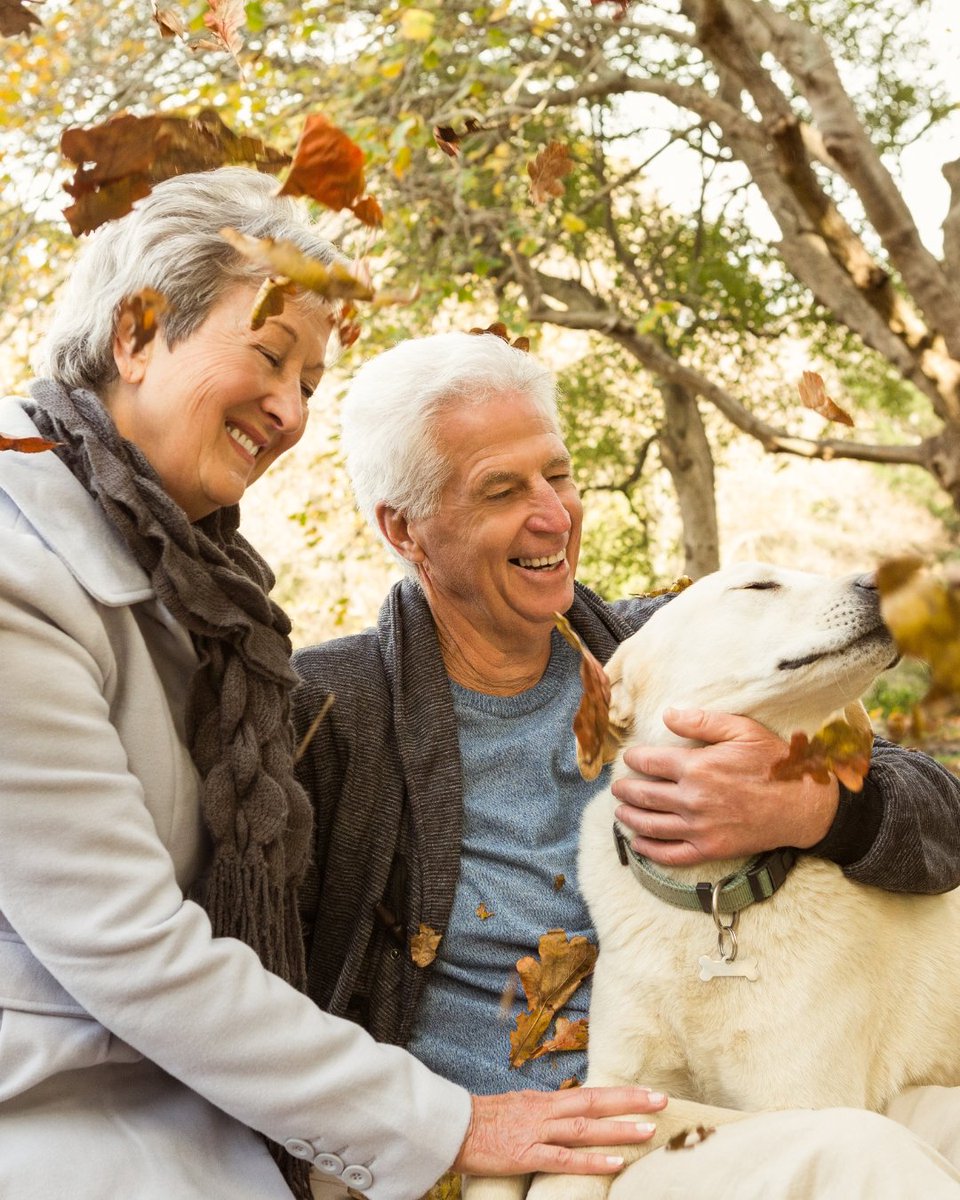 NJMWealth's tweet photo. What if you could keep an extra $50K or more in retirement just by making smarter tax moves?

Join us on October 7 | 7:00 PM CT or visit https://t.co/o2ie1zq90u to learn more! https://t.co/egRcmBiIp9