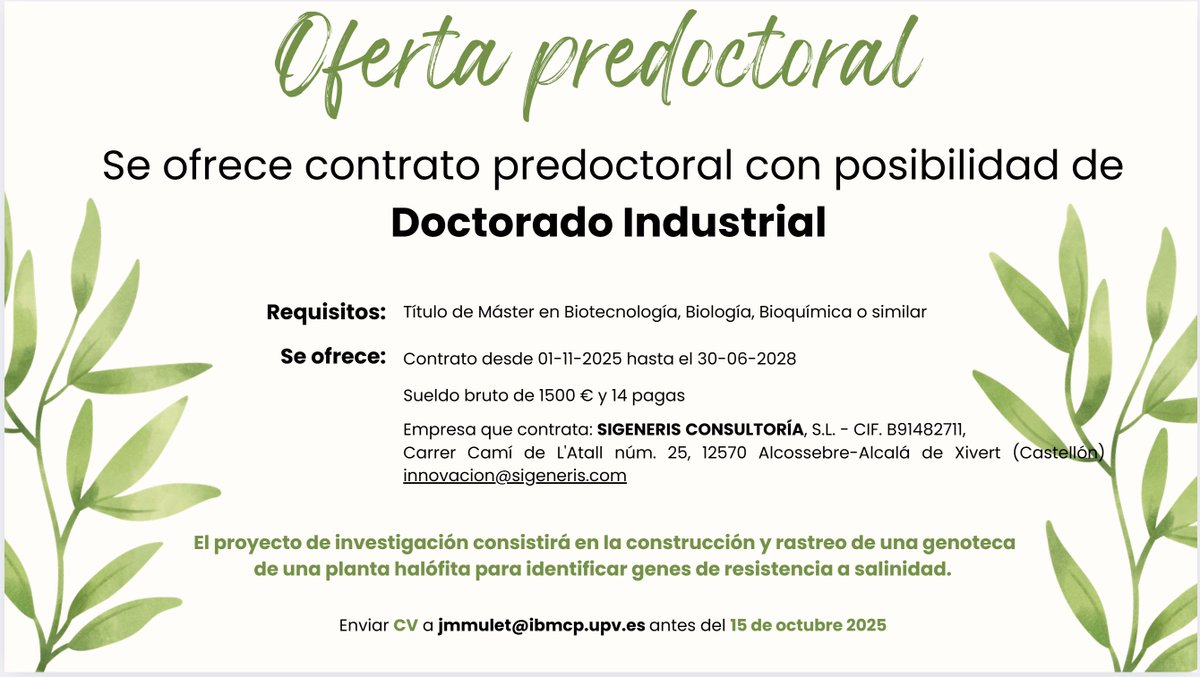 Rosa Porcel 🌿🌺 tweet media