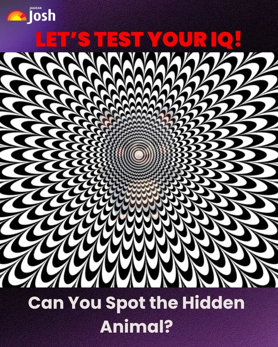 Test your vision and IQ with this geometrical optical illusion challenge! Hidden  within a hypnotic black-and-white spiral lies a secret animal. If you have  sharp eyesight and quick perception, try spotting it, image size:960x1200