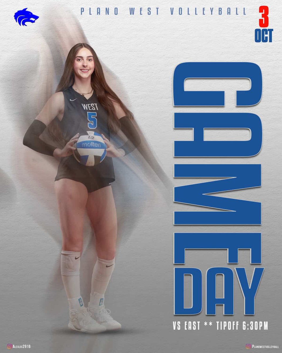 Lady Wolves VB tweet media