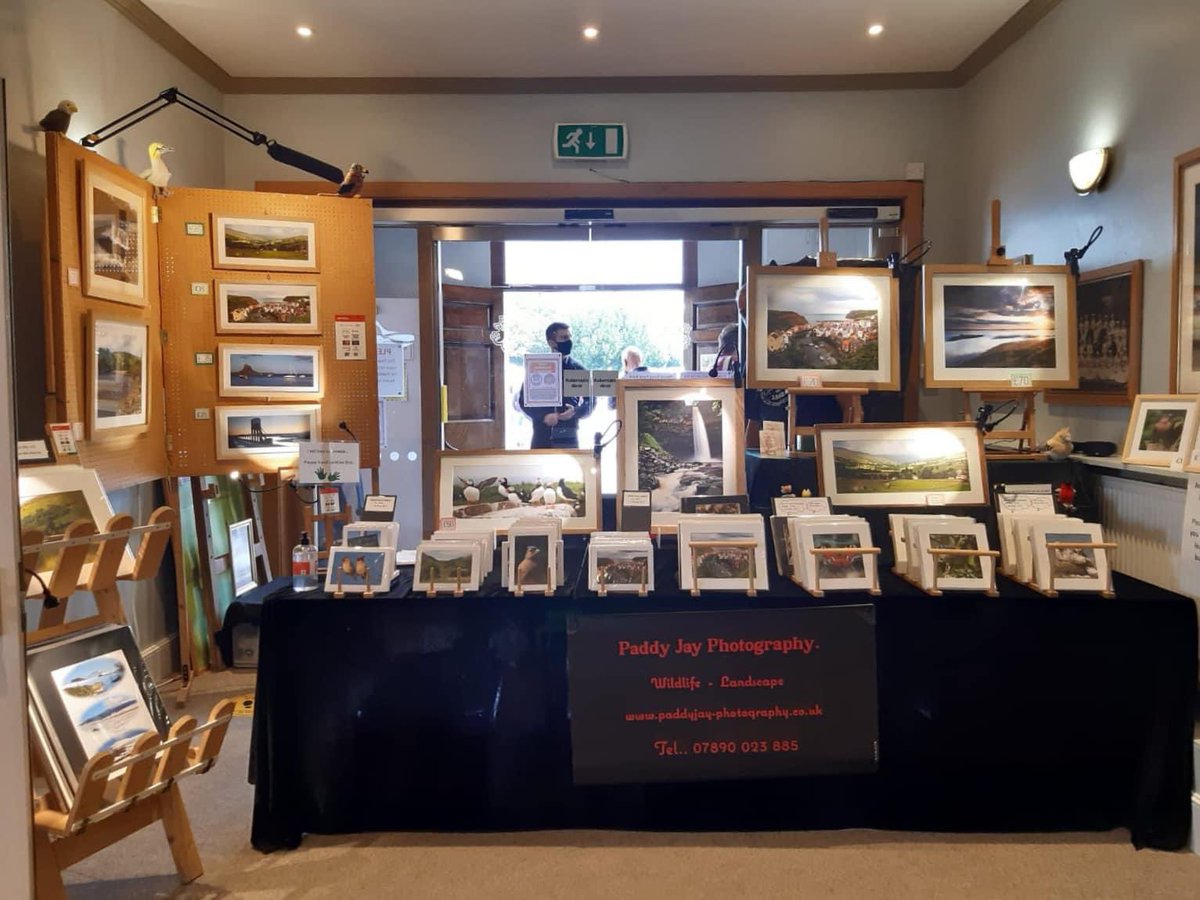 Paddy Jay tweet media