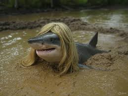 mpgh24's tweet image. Say No To Mudsharks ❌🚫