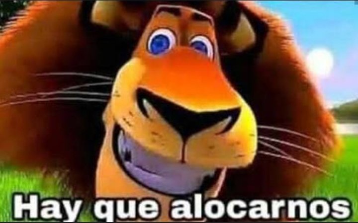Capitán Salami tweet media