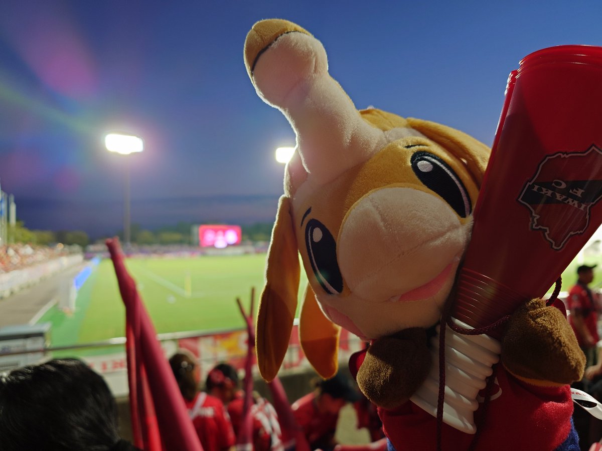 miki_wanna_be's tweet image. あまりに壮絶な試合で…落ち着いてから写真を見直してみたら、かわゆいじゃないかー😍私の推し達♡　#いわきFC　#ハーマーアンドドリー　#ハマドリ