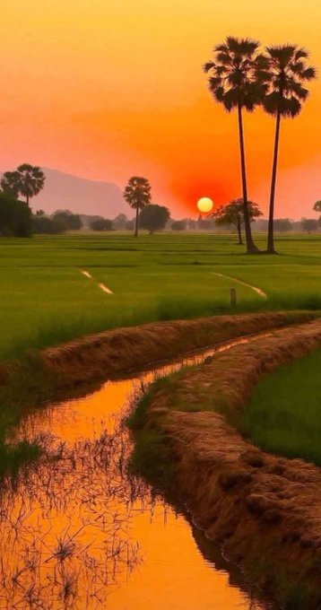 शुभ संध्या 🙏  तेरी आँखों ने सिखाया है मोहब्बत का सफ़र !

#CampusTank Dhruv Jurel #RavindraJadeja
#ChorKishore #GoaTaxiUnrest  #INDvsWI