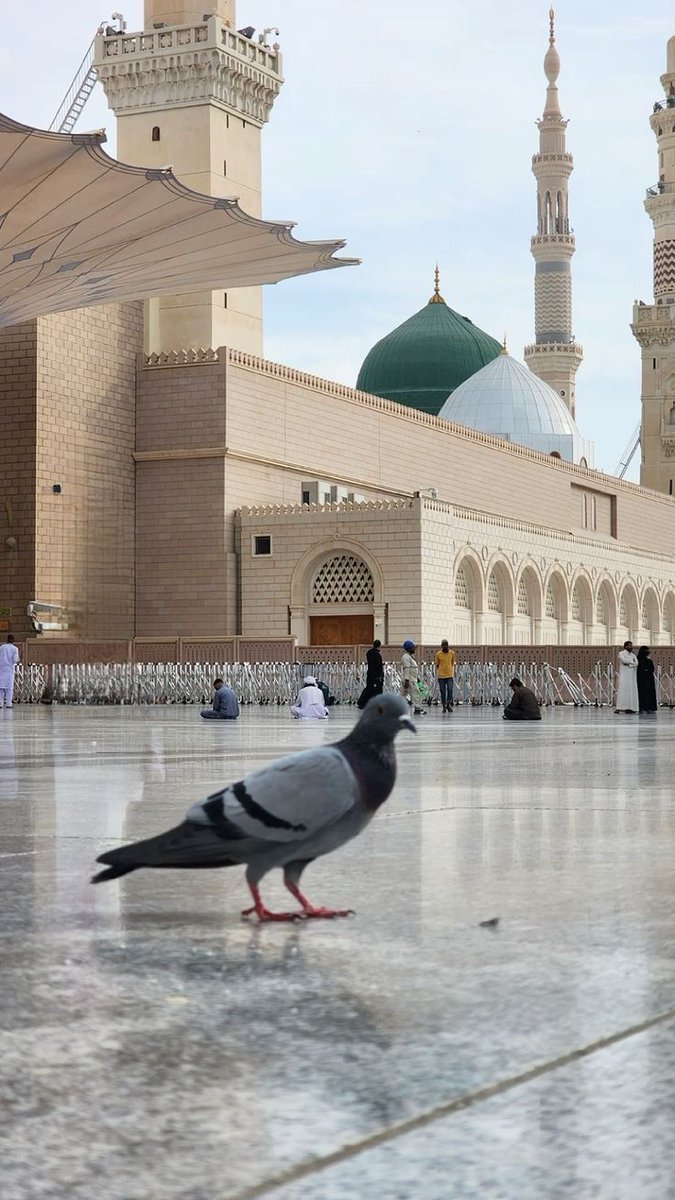 فَعلى عَظيمِ الخلقِ صلِّ محبةً
 يكفيكَ أنـّكَ واحـدٌ مـن أُمَّتِه". ﷺ