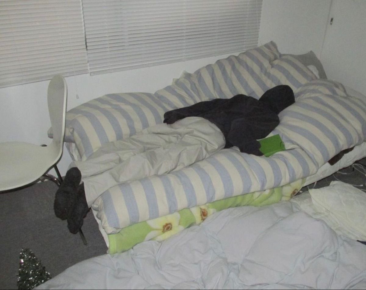 이번 추석은 정말 기깔나고 알차게 놀아줄 것을 다짐하고 오늘 한 일 : 하루종일 잠자기 … 😴

저 삽니다 내일부터 갓연휴 삽니다!!!!!!