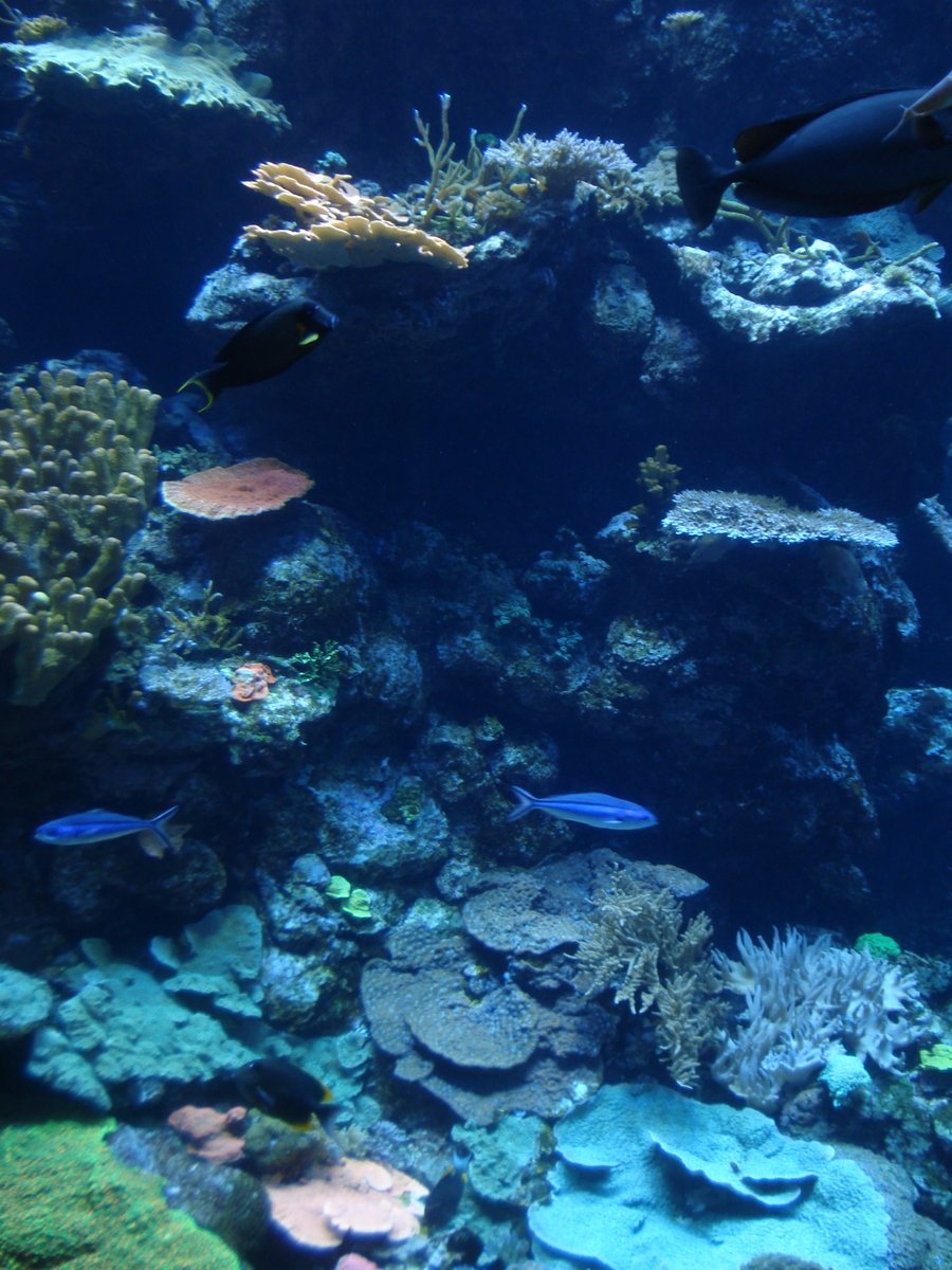 디카 사진들 발굴 중...
나쁘지 않은듯?? 다만 역광이나 어두운 상황에는 약함(당연하지만....)