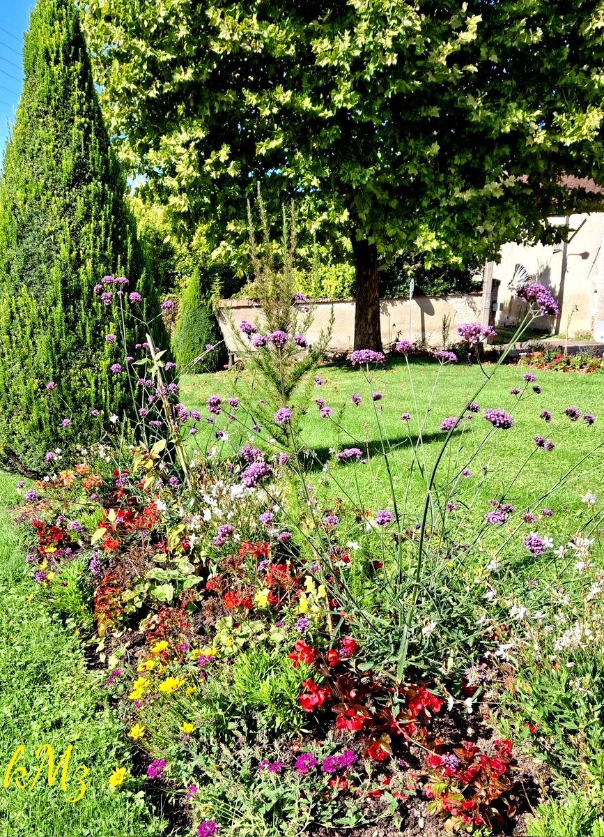 Flowers in all seasons always give hope and happiness 🤗💐💛🌿 #FridayFlowers #FlowersOnFriday #NatureBeauty #NatureLovers #StormHour