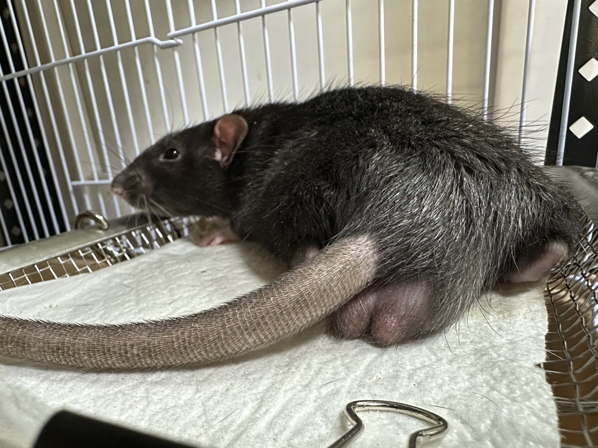 きんよーーびーーーーぃっ