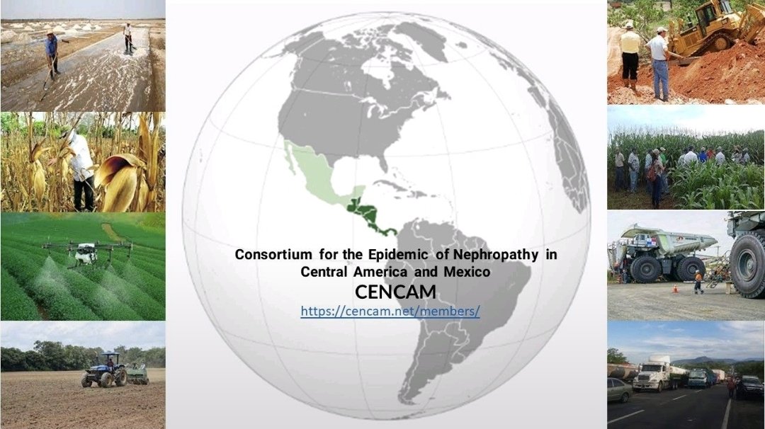 CENCAM está formado por un equipo multidisciplinario de científicos que trabaja en la búsqueda y análisis de evidencia sobre la ERCnt.
Para formar parte visítanos, envía tu CV y colabora en esta iniciativa internacional <a href="/SLANH_/">SLANH</a> cencam.net