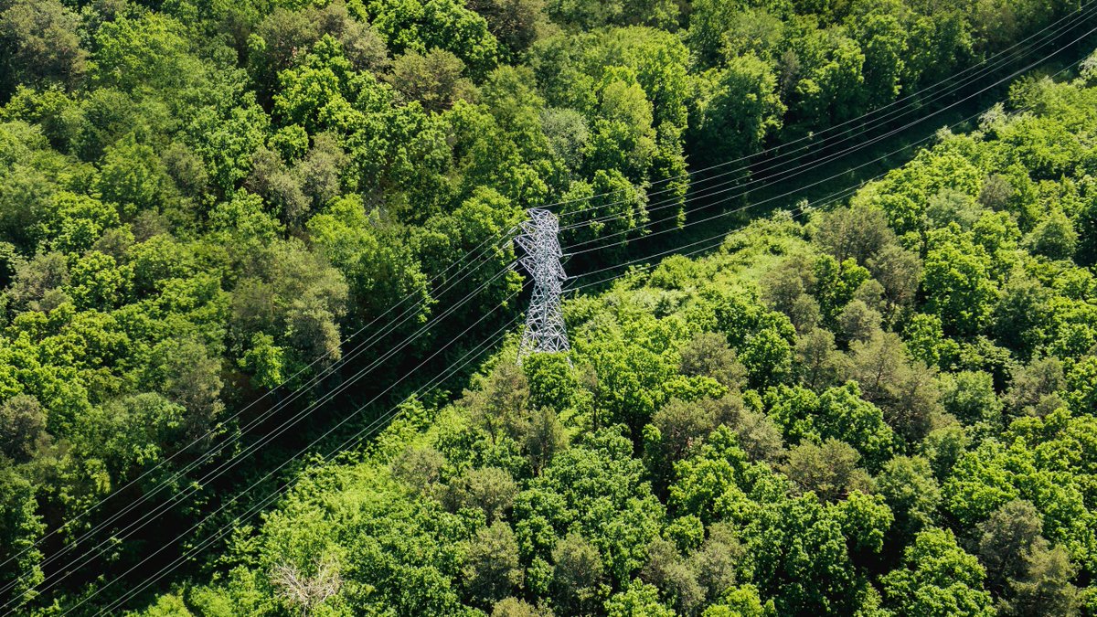 PGE Polska Grupa Energetyczna (@grupa_pge) on Twitter photo PGE Polska Grupa Energetyczna pozyskała dodatkowe 1,1 mld zł z <a href="/BGK_pl/">Bank Gospodarstwa Krajowego 🇵🇱</a> w ramach Krajowego Planu Odbudowy. Łączna wartość finansowania wzrosła do 13,2 mld zł, które zostaną przeznaczone na modernizację, cyfryzację i rozbudowę infrastruktury dystrybucyjnej oraz energetyki PGE Polska Grupa Energetyczna pozyskała dodatkowe 1,1 mld zł z <a href="/BGK_pl/">Bank Gospodarstwa Krajowego 🇵🇱</a> w ramach Krajowego Planu Odbudowy. Łączna wartość finansowania wzrosła do 13,2 mld zł, które zostaną przeznaczone na modernizację, cyfryzację i rozbudowę infrastruktury dystrybucyjnej oraz energetyki