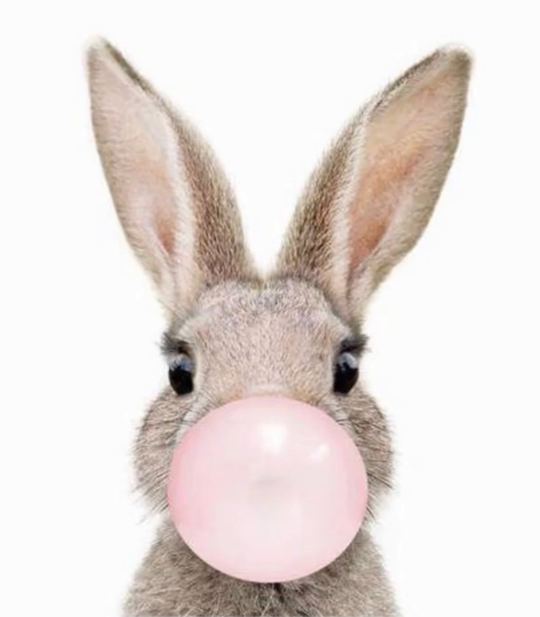 Julien Phelippon tweet media