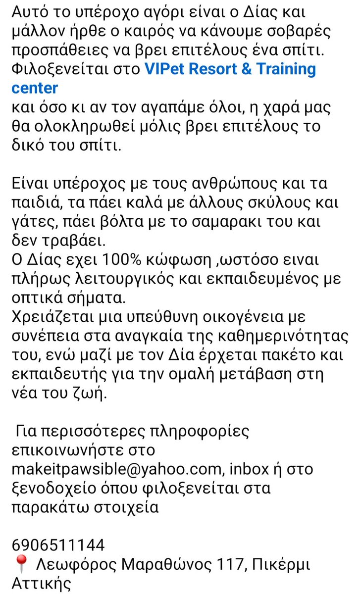 🆘️🆘️🆘️
Αυτό το υπέροχο αγόρι ειναι ο Δίας 
Ο Δίας έχει 100% κώφωση ωστόσο είναι πλήρως λειτουργικός κ εκπαιδευμένος με οπτικά σήματα 
Τα πάει καλά με άλλα ζωάκια,δν τραβάει στη βόλτα
Χρειάζεται μια υπεύθυνη οικογένεια με συνέπεια στα αναγκαία της καθημερινότητας του
Rt 🙏🙏