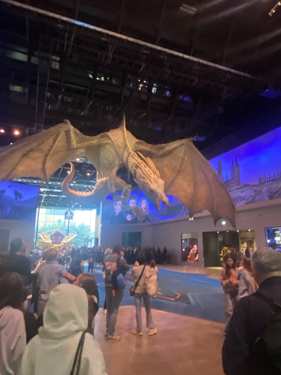 Ready for Harry Potter Studios this morning 🪄