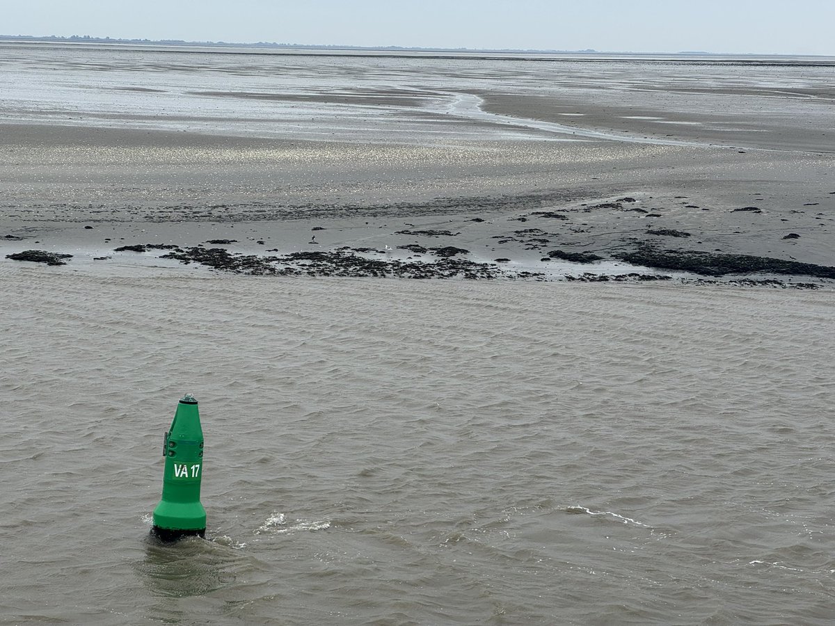 Bert van Dijk tweet media