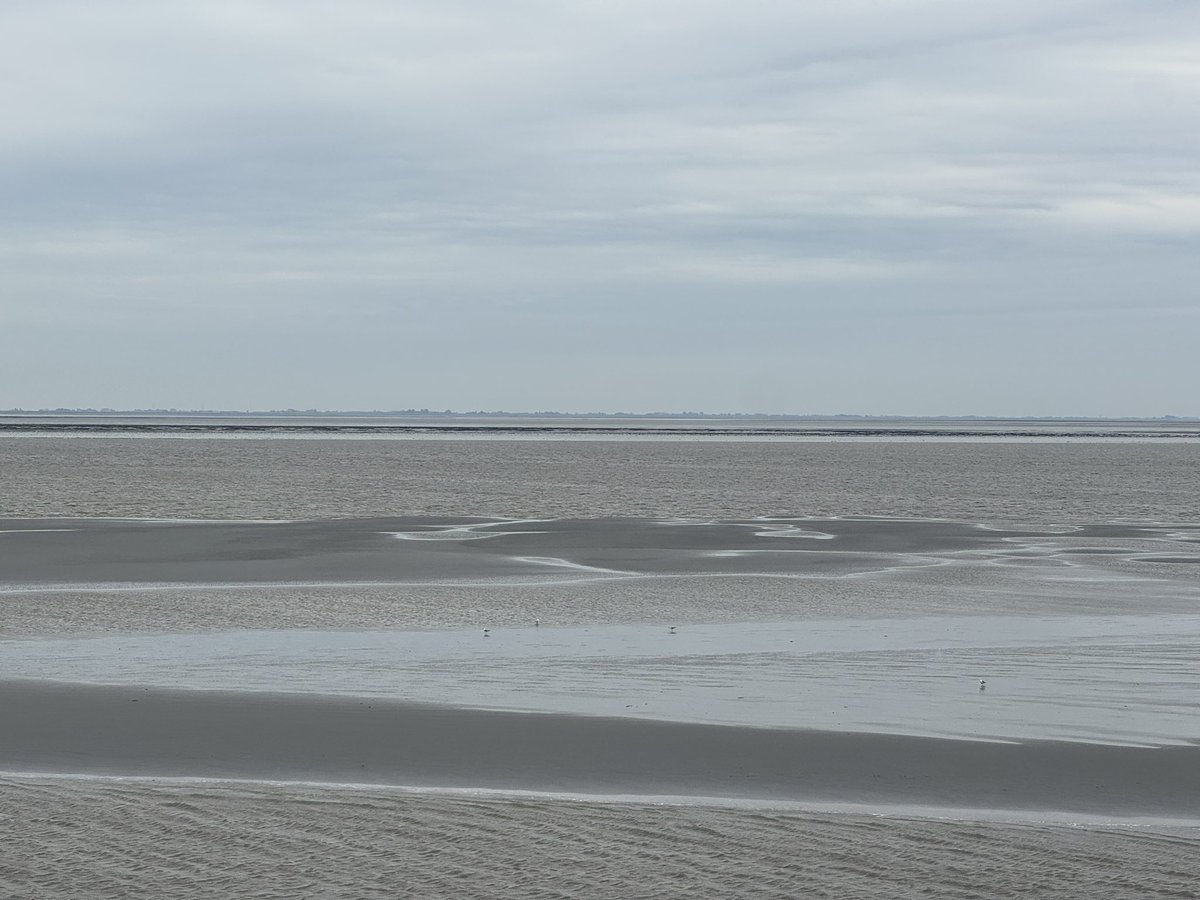 Bert van Dijk tweet media