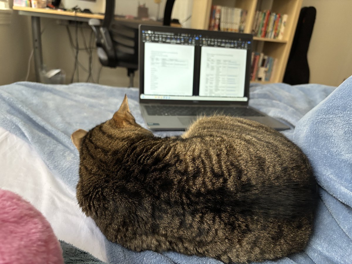 rosalie (et. al.) tweet media
