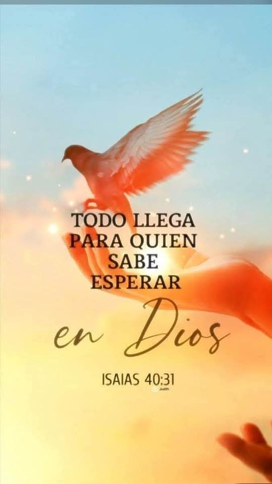 dani1975edm's tweet photo. La Gloria es de Cristo Jesús 🙏 
Amén https://t.co/0kQgt9qvMc