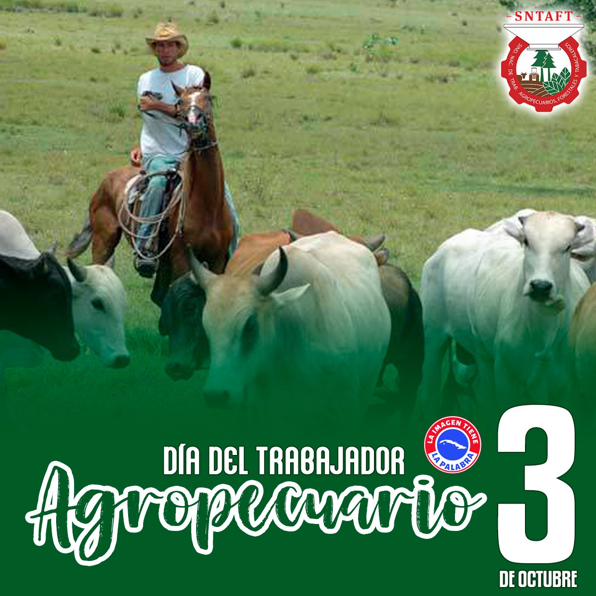 Jorge Madrigal (@jorgemadrigald) on Twitter photo 3 de octubre: Día del Trabajador Agropecuario.
¡Felicidades! desde #CiegodeAvila a nuestros trabajadores agropecuarios que son #GenteQueSuman. #Cuba <a href="/Cuba_CTC/">Central de Trabajadores de Cuba</a> <a href="/RamnMonte1/">José Ramón Monteagudo Ruiz</a> <a href="/JHGcasanova/">julio Heriberto Gómez Casanova</a> 3 de octubre: Día del Trabajador Agropecuario.
¡Felicidades! desde #CiegodeAvila a nuestros trabajadores agropecuarios que son #GenteQueSuman. #Cuba <a href="/Cuba_CTC/">Central de Trabajadores de Cuba</a> <a href="/RamnMonte1/">José Ramón Monteagudo Ruiz</a> <a href="/JHGcasanova/">julio Heriberto Gómez Casanova</a>