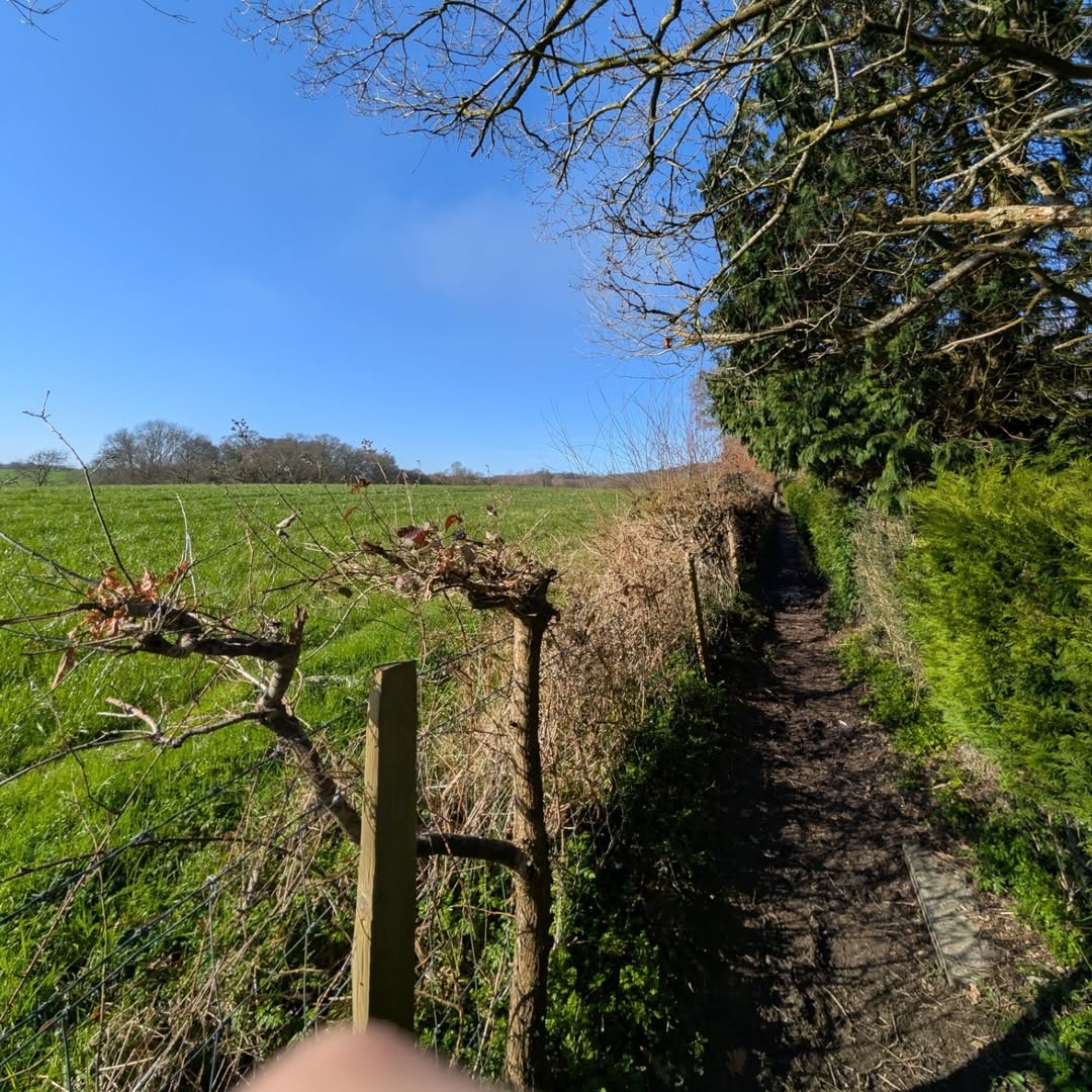 EmoL911's tweet photo. Such a path is also a unique kind of scenery
#LeithHillTower #SurreyViews #HistoricEngland #BritishCountryside #ElegantEscape https://t.co/pRB2IkUboL
