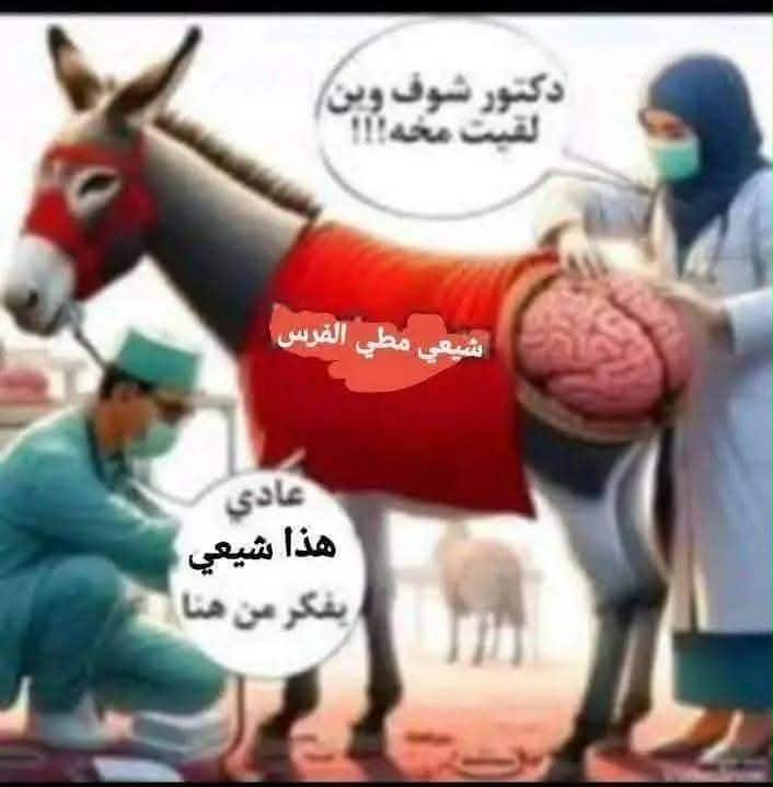 baban_salam's tweet photo. @Nath_limited_ed نكول للجلب الصغير لا تنبج خذ عظم وانجب انت وايران https://t.co/BQdwygXVcX