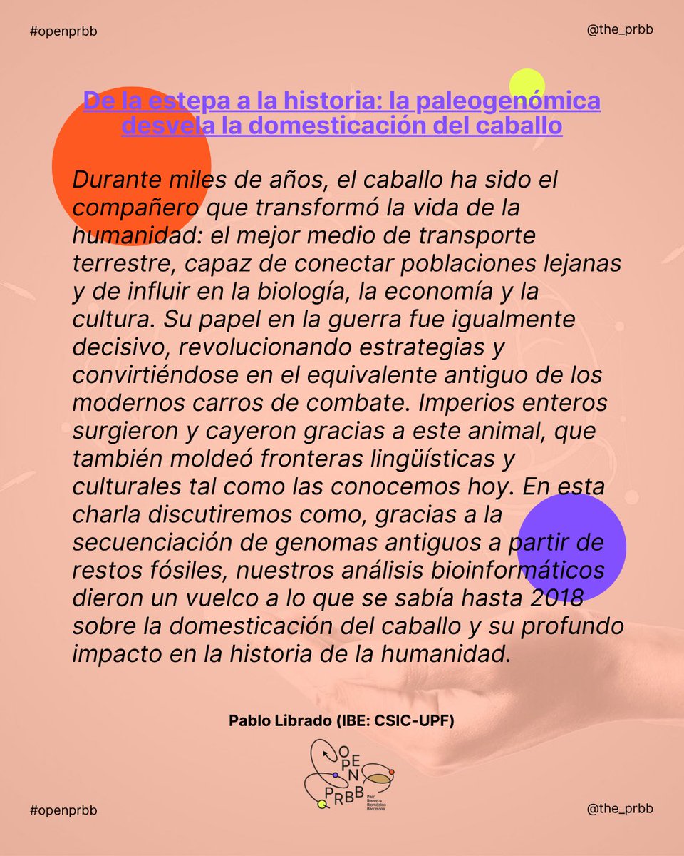 IBE_Barcelona's tweet photo. 🧬 De la estepa a la historia: la paleogenómica desvela la domesticación del caballo
🗣️Pablo Librado, investigador principal del @IBE_Barcelona, ofrecerá esta charla de “Ciència a la fresca” en la plaza @the_prbb mañana a las 11 h.🤩
#OpenPRBB👉https://t.co/u26L9Bg4Xr https://t.co/qRwGtxIrWX